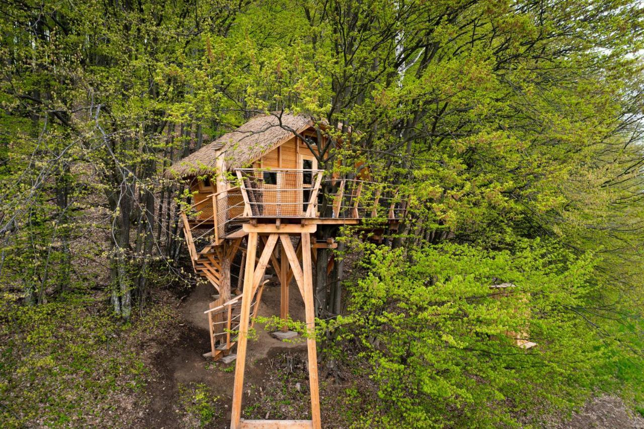 Treehouse Pod Lesom Villa Muran Exteriör bild